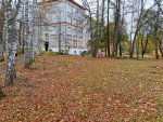 IMG_20201016_103100.jpg