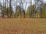IMG_20201016_103106.jpg