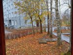 IMG_20201016_103117.jpg