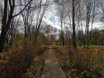 IMG_20201017_104741.jpg