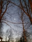 IMG_20201209_075941.jpg