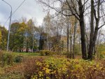 IMG_20201017_104748.jpg