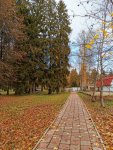 IMG_20201017_105101.jpg