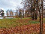 IMG_20201017_105108.jpg