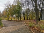 IMG_20201023_105409.jpg