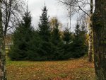 IMG_20201023_105425.jpg