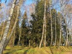 IMG_20201028_122146.jpg