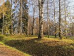IMG_20201028_122149.jpg