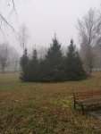 IMG_20201113_082725.jpg