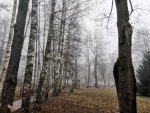 IMG_20201113_082811.jpg