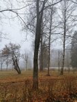 IMG_20201113_082824.jpg