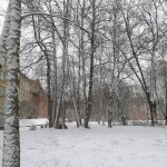 IMG_20201121_213205_485.jpg