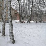 IMG_20201121_213205_484.jpg