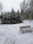 IMG_20201121_112804.jpg