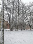 IMG_20201121_112813.jpg
