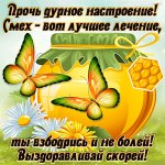 vyzdoravlivaj0024.jpg