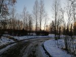 IMG_20201212_103621.jpg