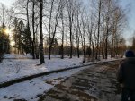 IMG_20201212_103654.jpg