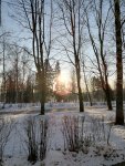 IMG_20201212_103727.jpg