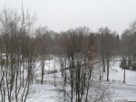 IMG_20201213_111828.jpg