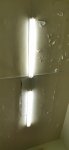 IMG-20201102-WA0077.jpeg