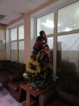 IMG_20201218_084733.jpg