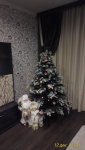 P_20191212_163602_LL_p_compress32.jpg