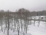 IMG_20201220_110331.jpg