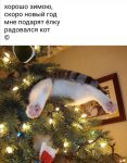 i (11).jpg