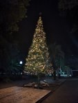 IMG_20201224_234929_compress12.jpg