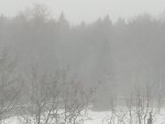 IMG_20201225_105434.jpg