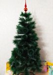 IMG_20201225_211521_resize_50.jpg