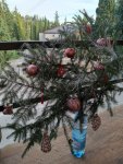 IMG_20201226_162514_compress43.jpg