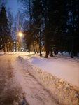 IMG_20201226_164256.jpg
