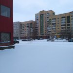 IMG_20201226_103642_resize_71.jpg