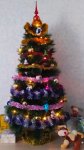 IMG_20201227_112339_resize_95.jpg