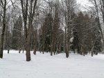 IMG_20201227_100646.jpg