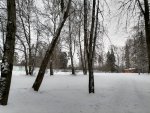IMG_20201227_100651.jpg