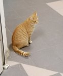 IMG_20201227_165930_657.jpg