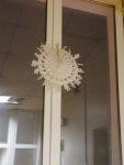 IMG_20201227_175138.jpg
