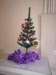 IMG_20201227_175323.jpg