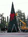 IMG_20201227_175153_compress62.jpg
