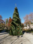 IMG_20201229_122718_compress93.jpg