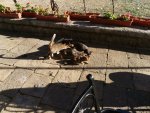 IMG_20201229_144930_compress92.jpg