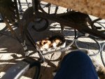 IMG_20201229_141644_compress1.jpg