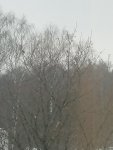 IMG_20201230_154823.jpg