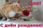 4160822_large.jpeg