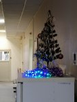 IMG_20201231_194218.jpg