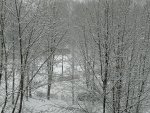 IMG_20210102_095924.jpg