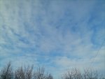 IMG_20210103_130338.jpg